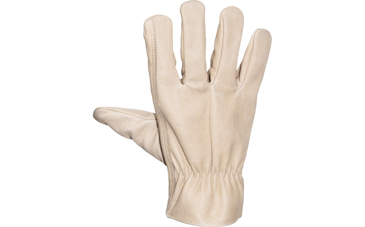 Leather Driver Glove 6526